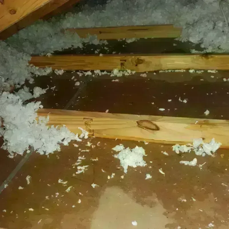 Attic Water Damage in Middletown, VA