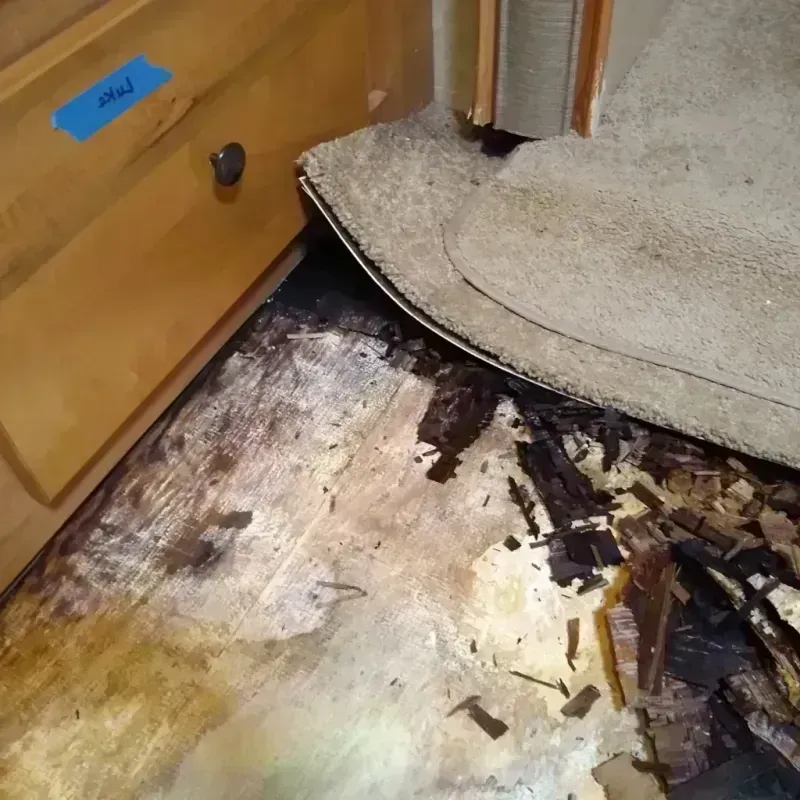 Wood Floor Water Damage in Middletown, VA